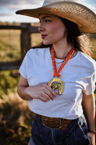 Stars and Horseshoes in Punchy Red Western Twilly