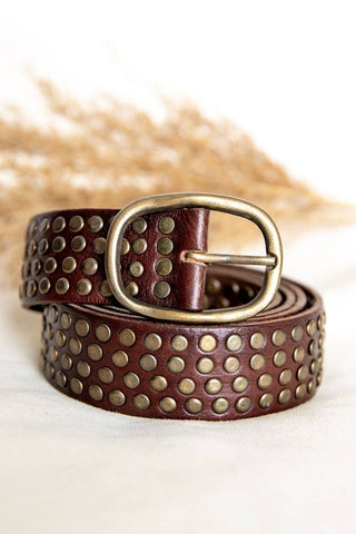 DARK BROWN LEATHER BELT WITH STUDS WIDE