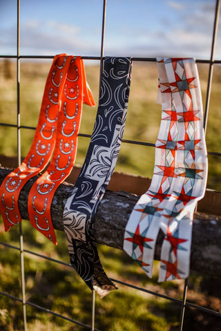 Stars and Horseshoes in Punchy Red Western Twilly