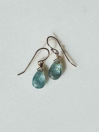 Sarah Pauli Jewelry Earrings